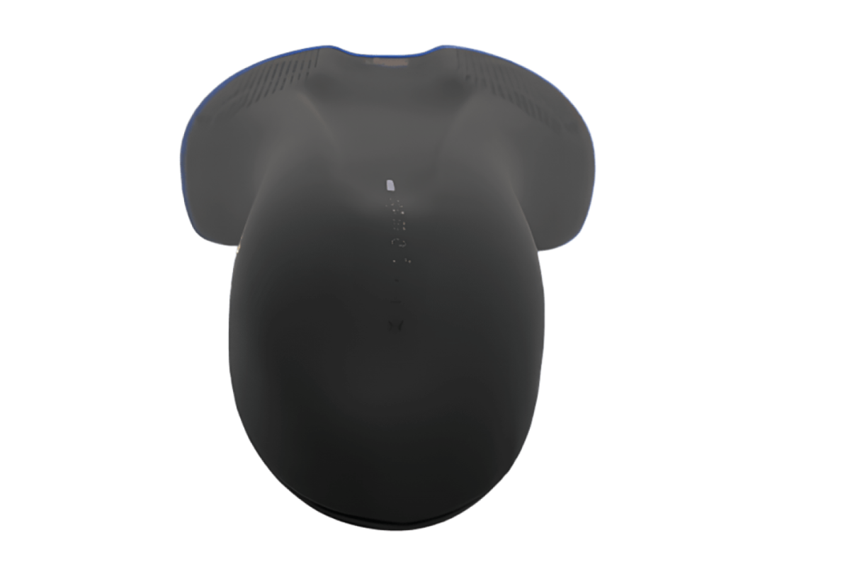 saddle